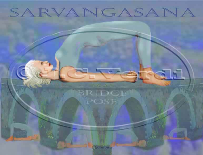 bridge pose