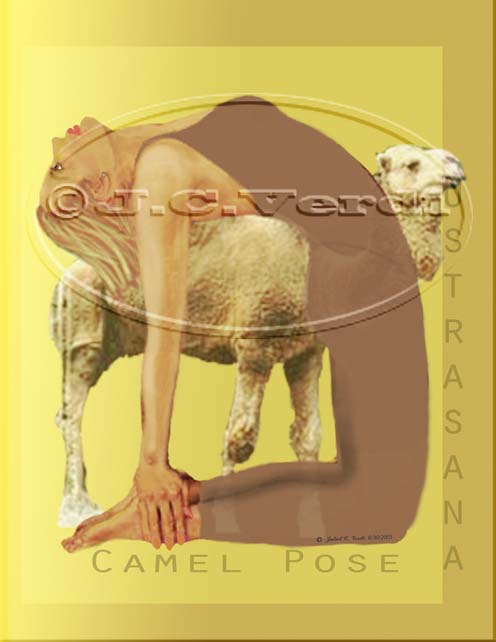 camel pose
