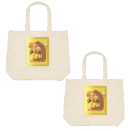 camel tote 2 sides picts